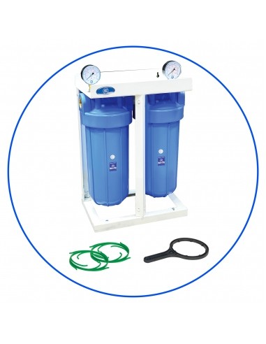 Sistema de filtración BigBlue® 10" 2V